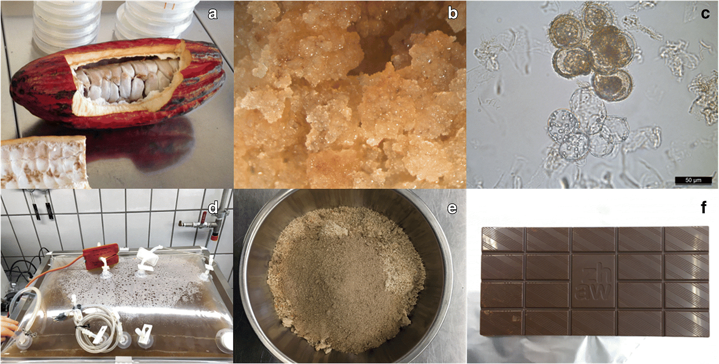 Fig. 4 Fig. 4