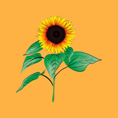 when love re-members by malebo sephodi 