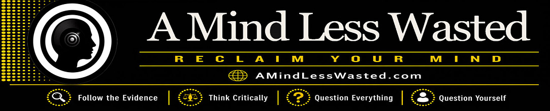 A Mind Less Wasted