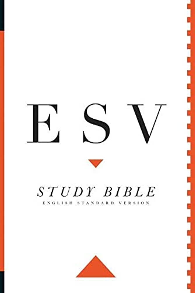 Buy Study Bible-ESV Book Online at Low Prices in India | Study Bible-ESV  Reviews & Ratings - Amazon.in
