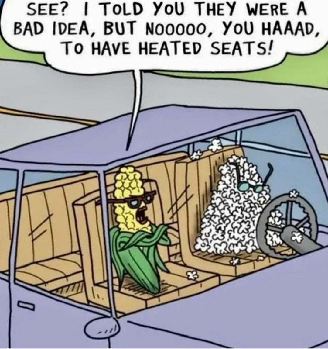 May be an image of text that says 'SEE? TOLD YOU THEY WERE A BAD IDEA, BUT NOOOOO, YOU HAAAD, Το HAVE HEATED SEATS!'