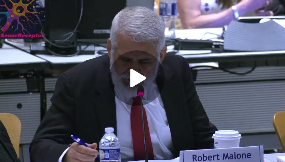 lionessofjudah.substack.com