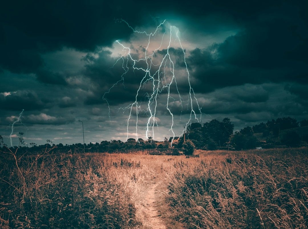 brown grass field towards trees