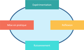 Le cycle de Kolb, et processus définissant le cycle de la pratique en théorie