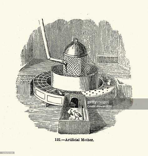 (L) 1900s chicken coup (C) artificial mother hen design (R)  in-law suite 