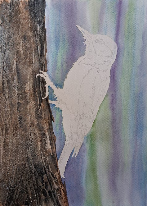 Elizabeth Tomkins process images
