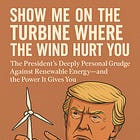 Show Me on the Turbine Where the Wind Hurt You