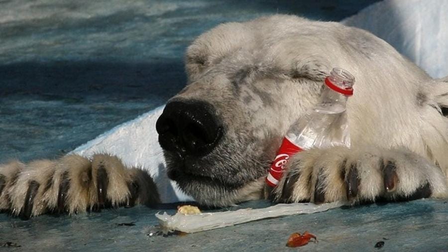 NotiGAPE - Coca-Cola, PepsiCo y Nestlé, principales causantes de la  contaminación plástica mundial