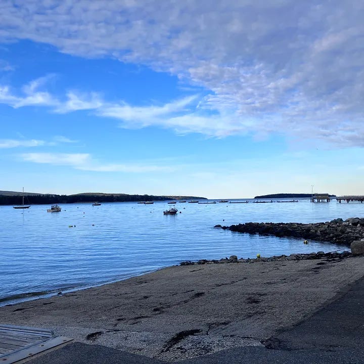 Lobster traps, Acadia National Park views