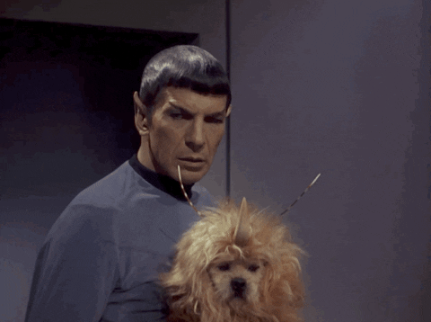 Spock (from the Original Series) holds a dog dressed in an alien costume. It's an hilarious pairing because it is still quite obviously a dog. 