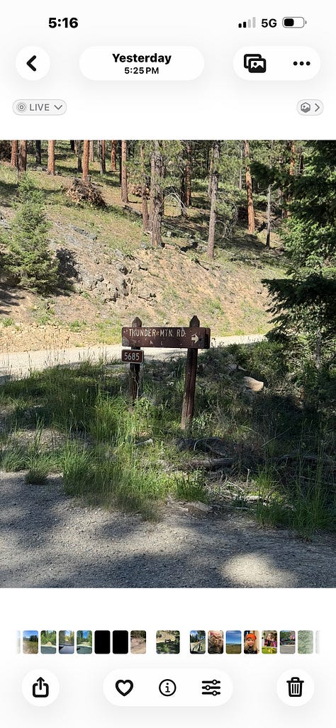 Take the road at the road bend to Horse Creek Pass
