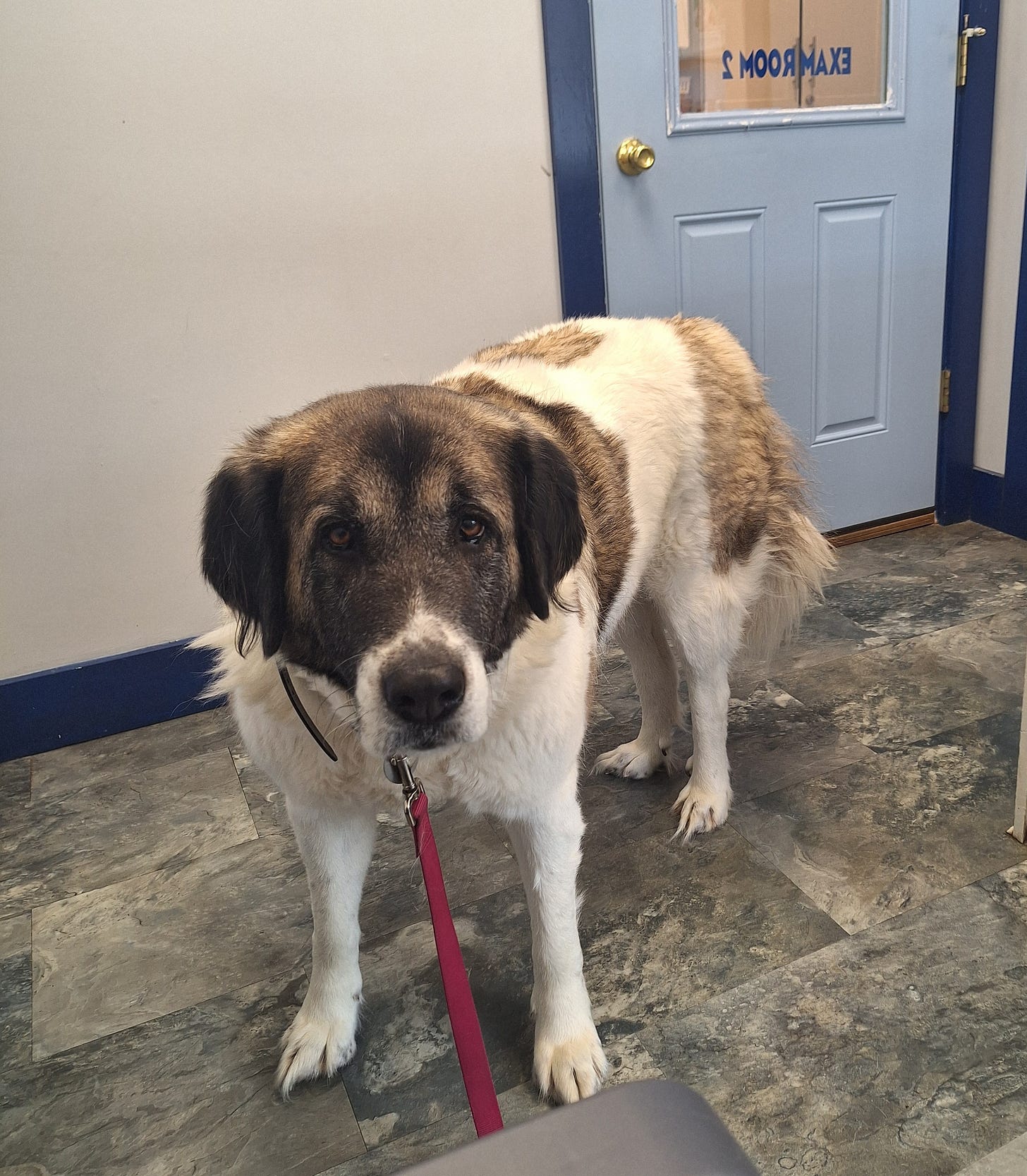 march in maine march in maine