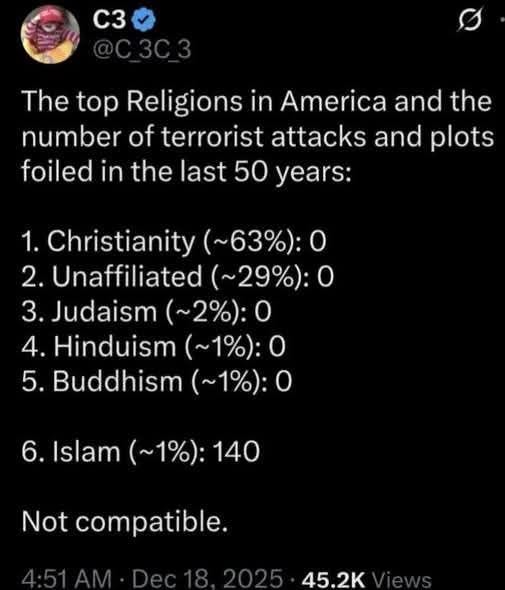 May be an image of text that says 'C3 The top Religions in America and the number of terrorist attacks and plots foiled in the last 50 years: 1. Christianity (~63%): 2. Unaffiliated (~29%):0 3. Judaism （~2%)：0 4. Hinduism （~1%)：0 5. Buddhism （~1%): 0 6. slam (~1%): 140 Not compatible. 45.2K'