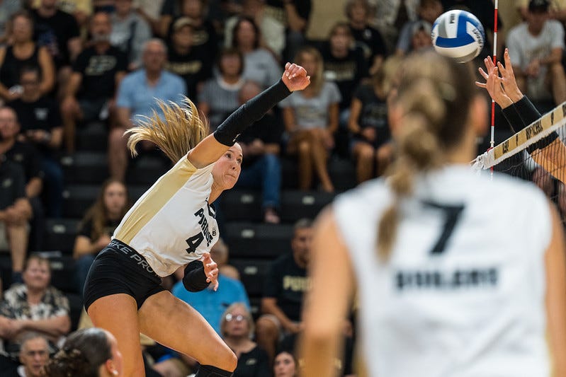 Informe de voleibol de Purdue: conclusiones de la victoria en la exhibición de Ball State