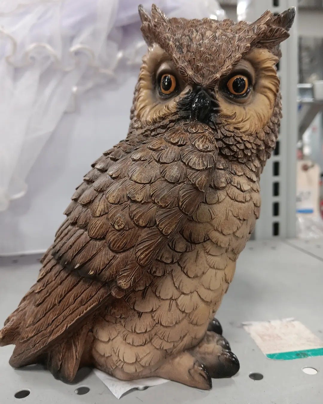 No photo description available.