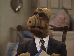 https://i.giphy.com/yEtv1wWZpmG2s.gif