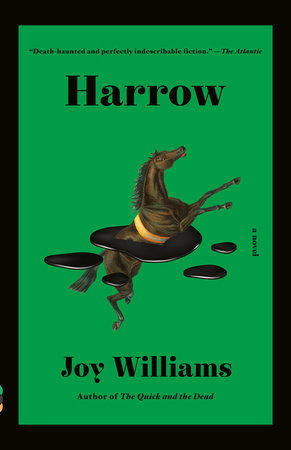 Harrow by Joy Williams