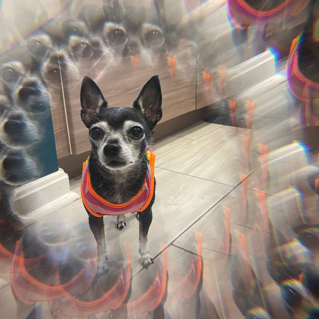 Kaleidoscope of Thoughts 