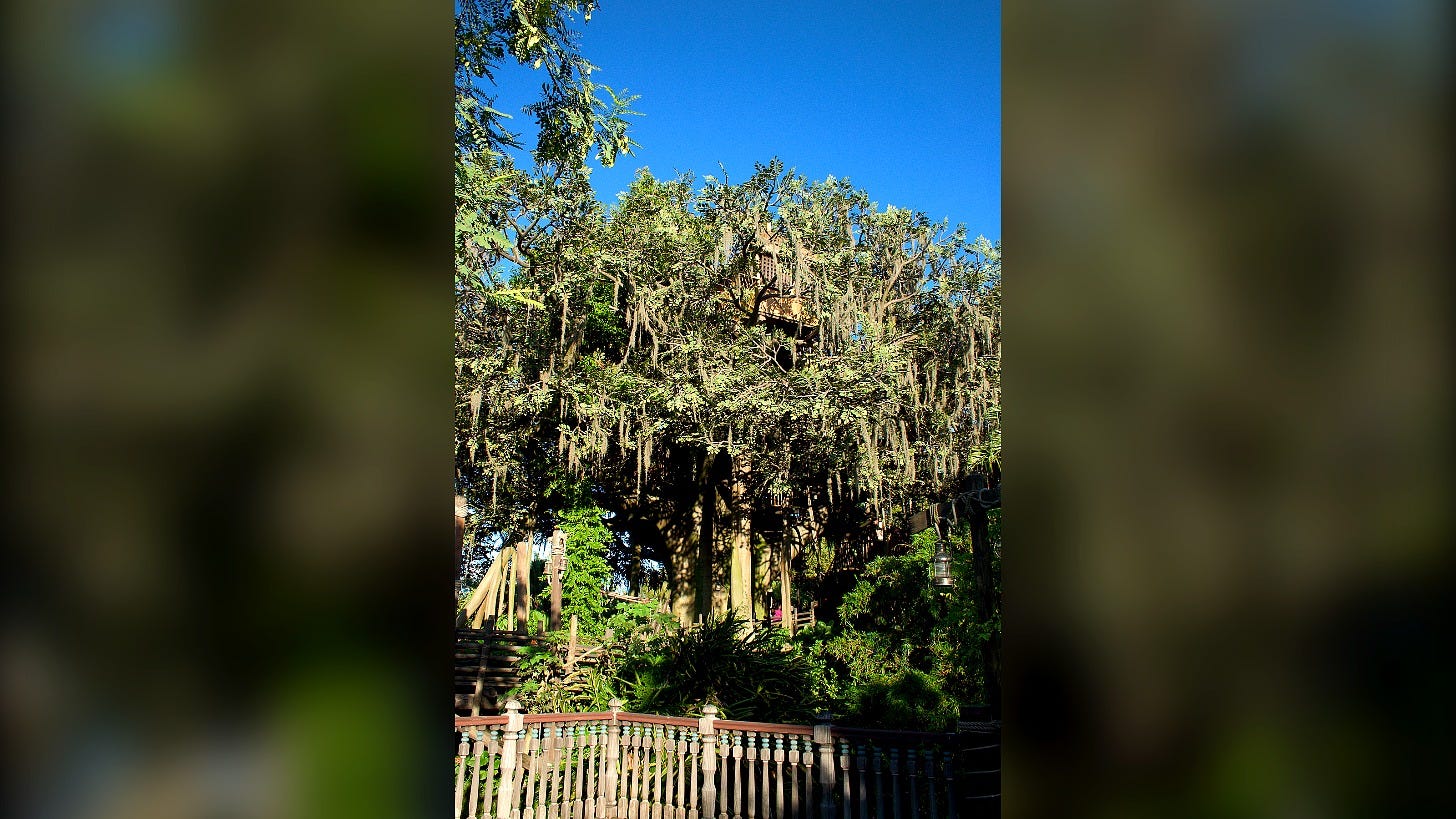 The Swiss Family Treehouse at Magic Kingdom. Image: David Bjorgen via Wikimedia Commons