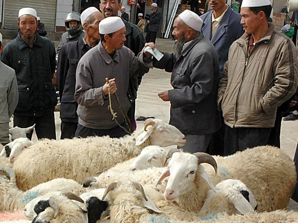 Dongxiangs bargaining for sheep in Gansu Province China Dongxiangs bargaining for sheep in Gansu Province China