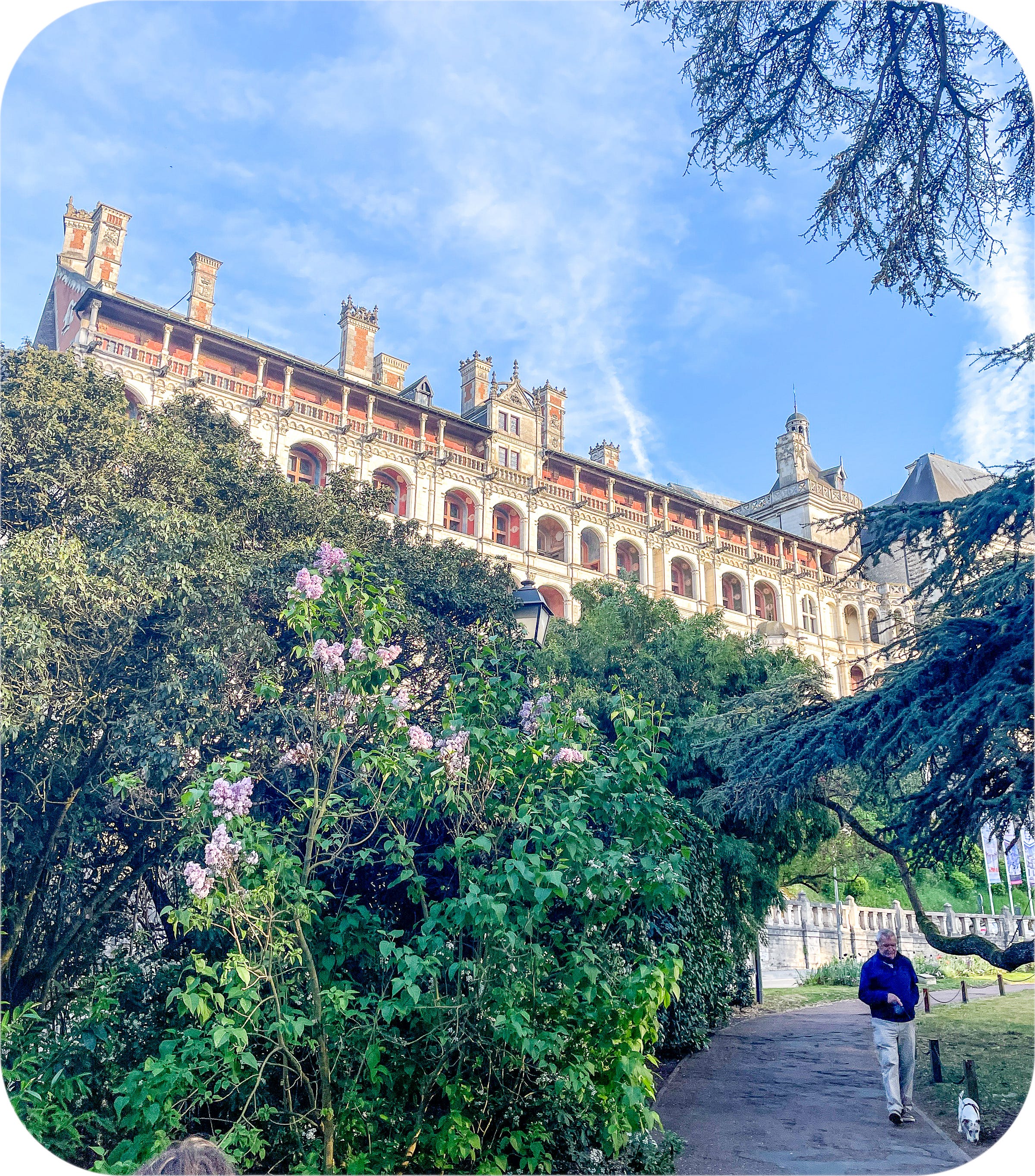 Chateau de Blois, France