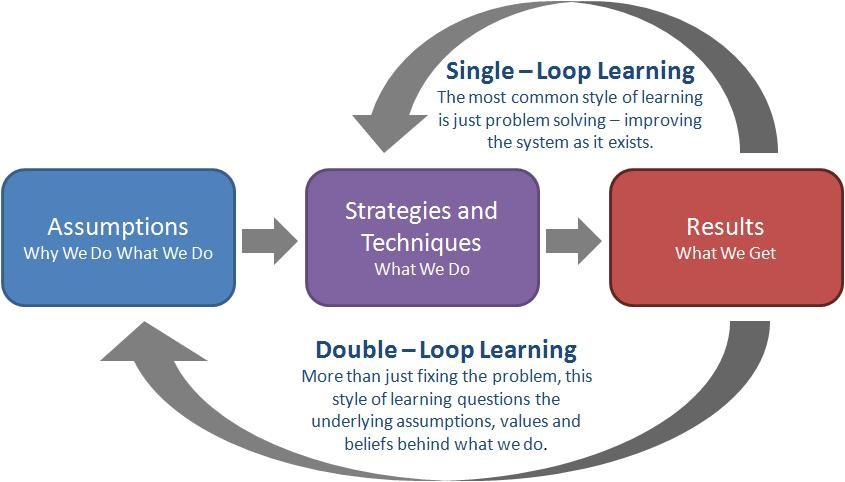 Double Loop Learning for Surviving & Thriving