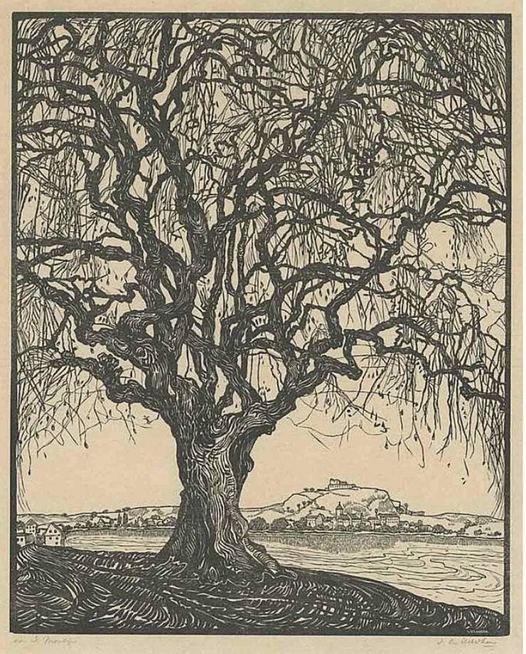 'Tree near the water, a city in the background' - houtgravure: Jacobus Gerardus Veldheer (herkomst: voorm. Veilinghuis Bubb Kuyper) 'Tree near the water, a city in the background' - houtgravure: Jacobus Gerardus Veldheer (herkomst: voorm. Veilinghuis Bubb Kuyper)