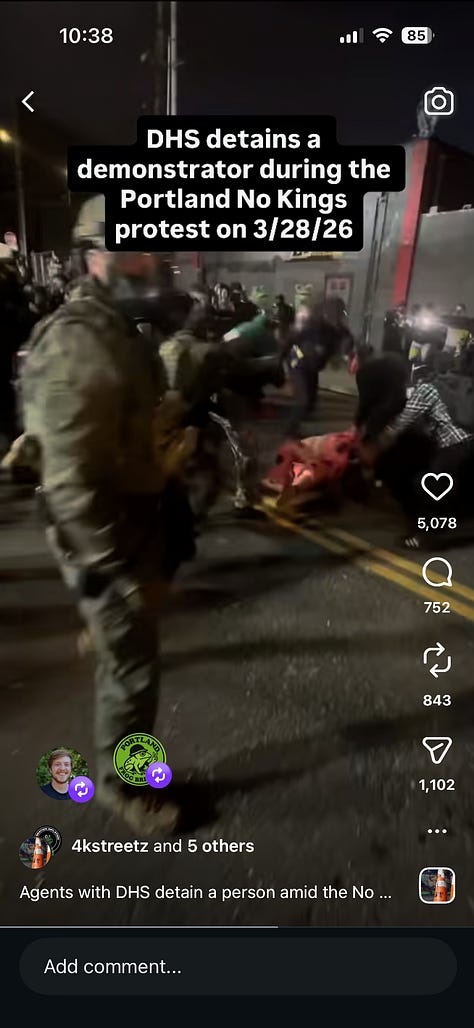 9 screen grabs from video showing ICE agents pursuing, hitting, and detaining protester in pink frog costume. The last three images show agent brandishing gun at bystanders.