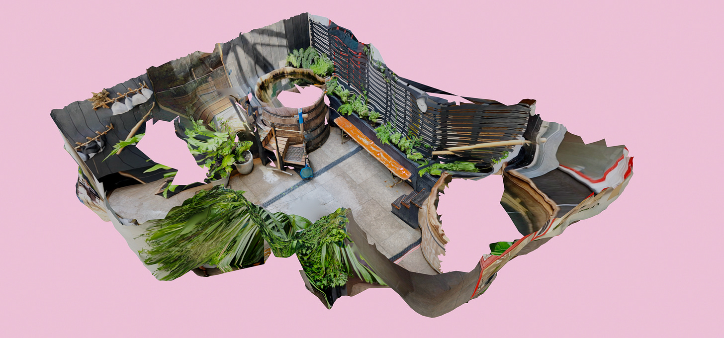 a 3d digital scan of a sauna, surrounded by plants, a plunge pool and a hot tub. the scan is laid over a light pink background.