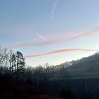 🪷Guard my joy like treasure