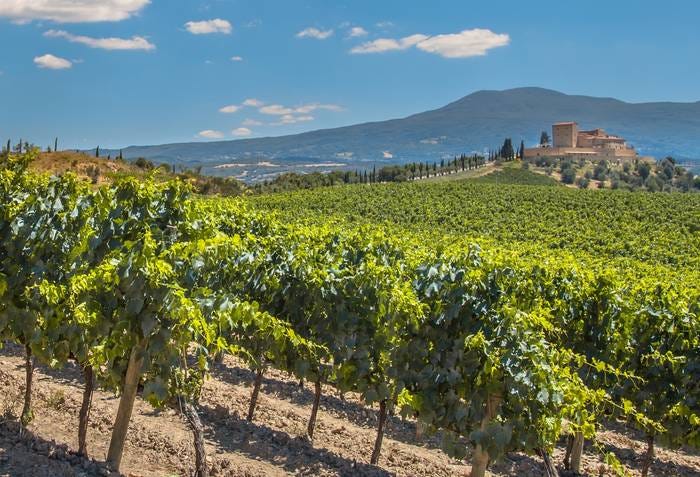 Visite los viñedos de España : Mejores experiencias de Vino Visite los viñedos de España : Mejores experiencias de Vino