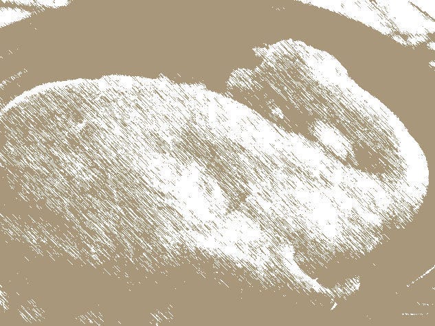《平行線》第三十六章