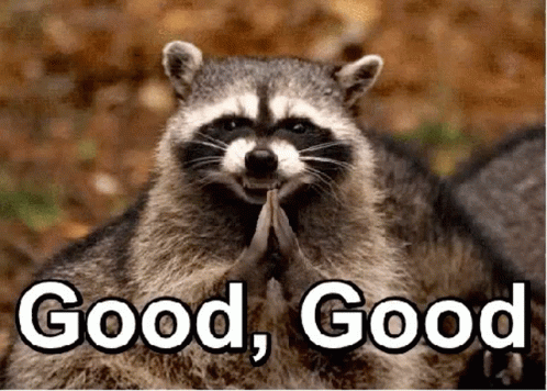A raccoon Gif, "good, good". A raccoon Gif, "good, good".