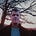 Tom Beck's avatar