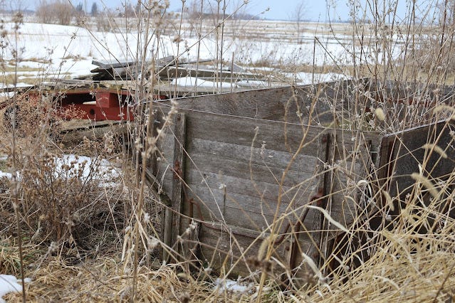 flair box in a weedy area
