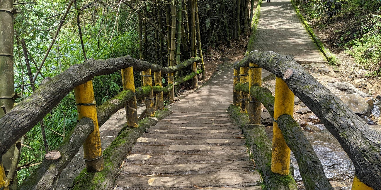 Finding your Community: Healing & Belonging