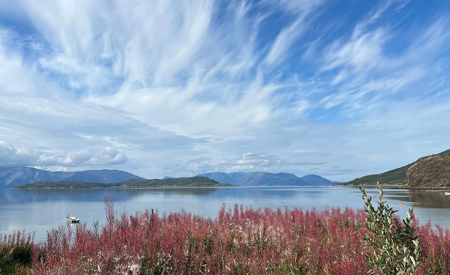 Photo of a fjord in the north of Norway