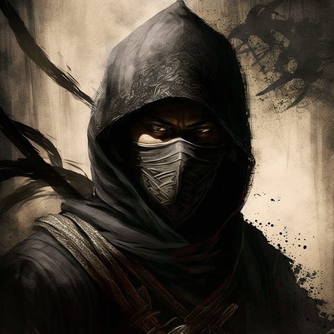 Shinobi warriors