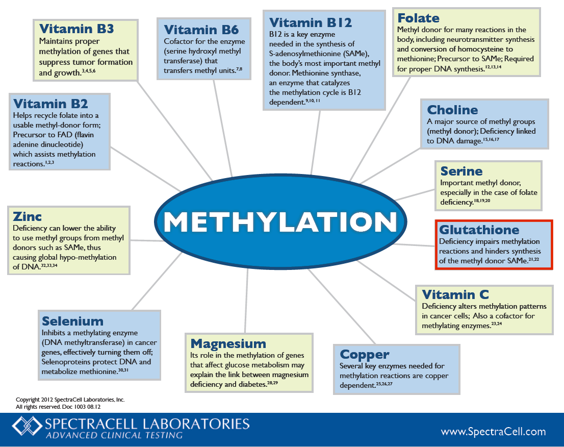Diet for methylation.