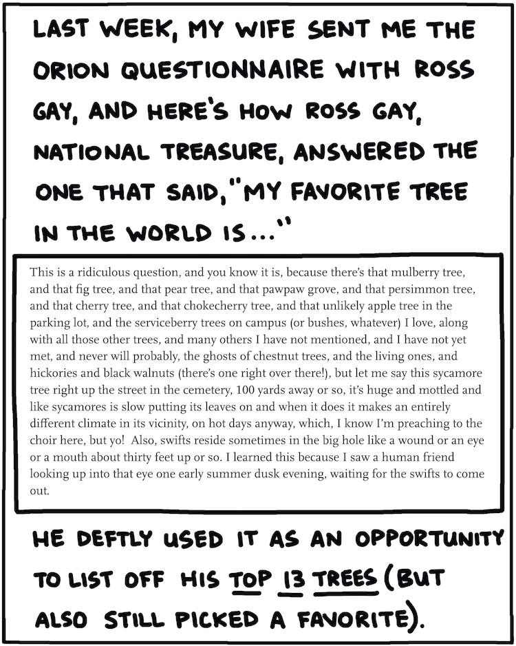 Last week, my wife sent me the Orion Questionnaire with Ross Gay, and here's how Ross Gay, National Treasure, answered the one that said, "My favorite tree in the world is ..." This is a ridiculous question, and you know it is, because there’s that mulberry tree, and that fig tree, and that pear tree, and that pawpaw grove, and that persimmon tree, and that cherry tree, and that chokecherry tree, and that unlikely apple tree in the parking lot, and the serviceberry trees on campus (or bushes, whatever) I love, along with all those other trees, and many others I have not mentioned, and I have not yet met, and never will probably, the ghosts of chestnut trees, and the living ones, and hickories and black walnuts (there’s one right over there!), but let me say this sycamore tree right up the street in the cemetery, 100 yards away or so, it’s huge and mottled and like sycamores is slow putting its leaves on and when it does it makes an entirely different climate in its vicinity, on hot days anyway, which, I know I’m preaching to the choir here, but yo! Also, swifts reside sometimes in the big hole like a wound or an eye or a mouth about thirty feet up or so. I learned this because I saw a human friend looking up into that eye one early summer dusk evening, waiting for the swifts to come out. He deftly used it as an opportunity to list off his top 13 trees (but also still picked a favorite). 