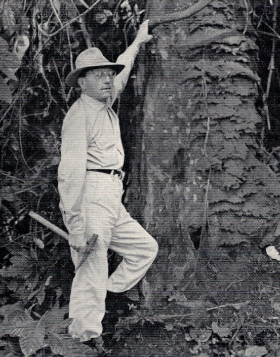 Pierre-Paul Grassé