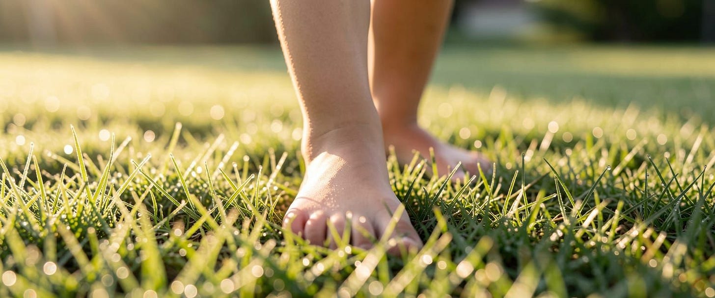 Close-up on a young girl feet as she walks on clear grass without shoes. No extra toes.