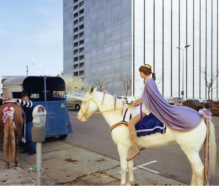 A person in a purple cape sitting on a white horse. The person and horse are in profile. They're in a nondescript urban setting with a parking meter, some cars, and a building in the background.