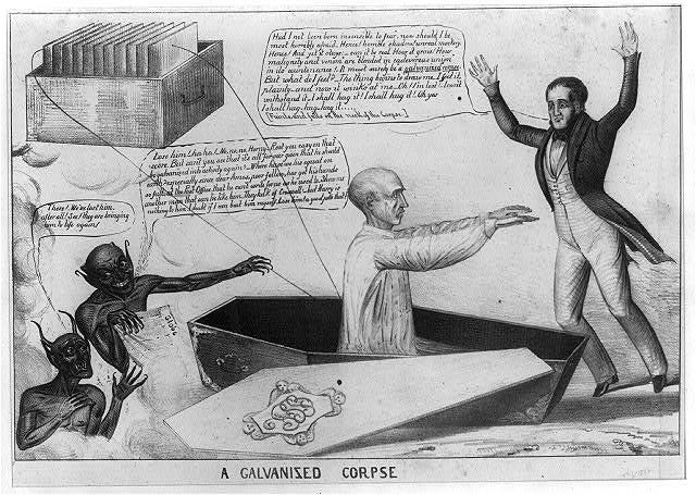 Commentary on the possibility of reanimation Commentary on the possibility of reanimation