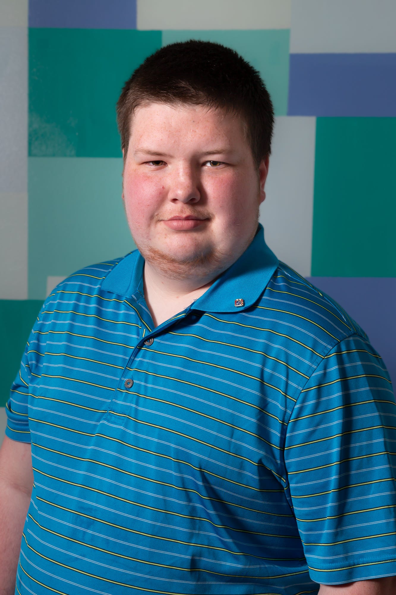 Portrait of a 19 year old, white skinned man. He is wearing a blue polo shirt with white and green stripes. He has reddish brown hair and light brown eyes. He has a slight mustache and goatee. 