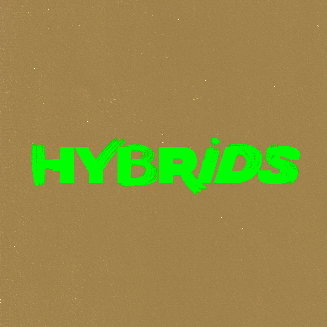 Hybrids Conversations logo