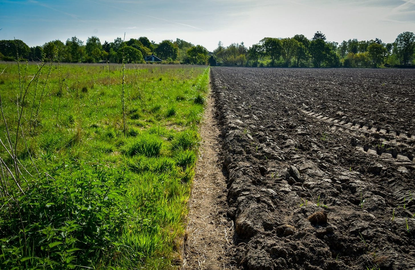 How Regenerative Agriculture Can Help Reduce Carbon Emissions