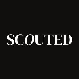 We Scouted logo