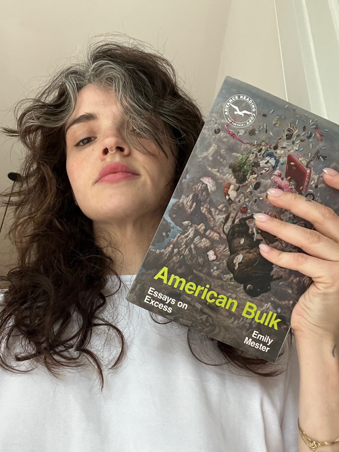 emily mester author american bulk essays on excess