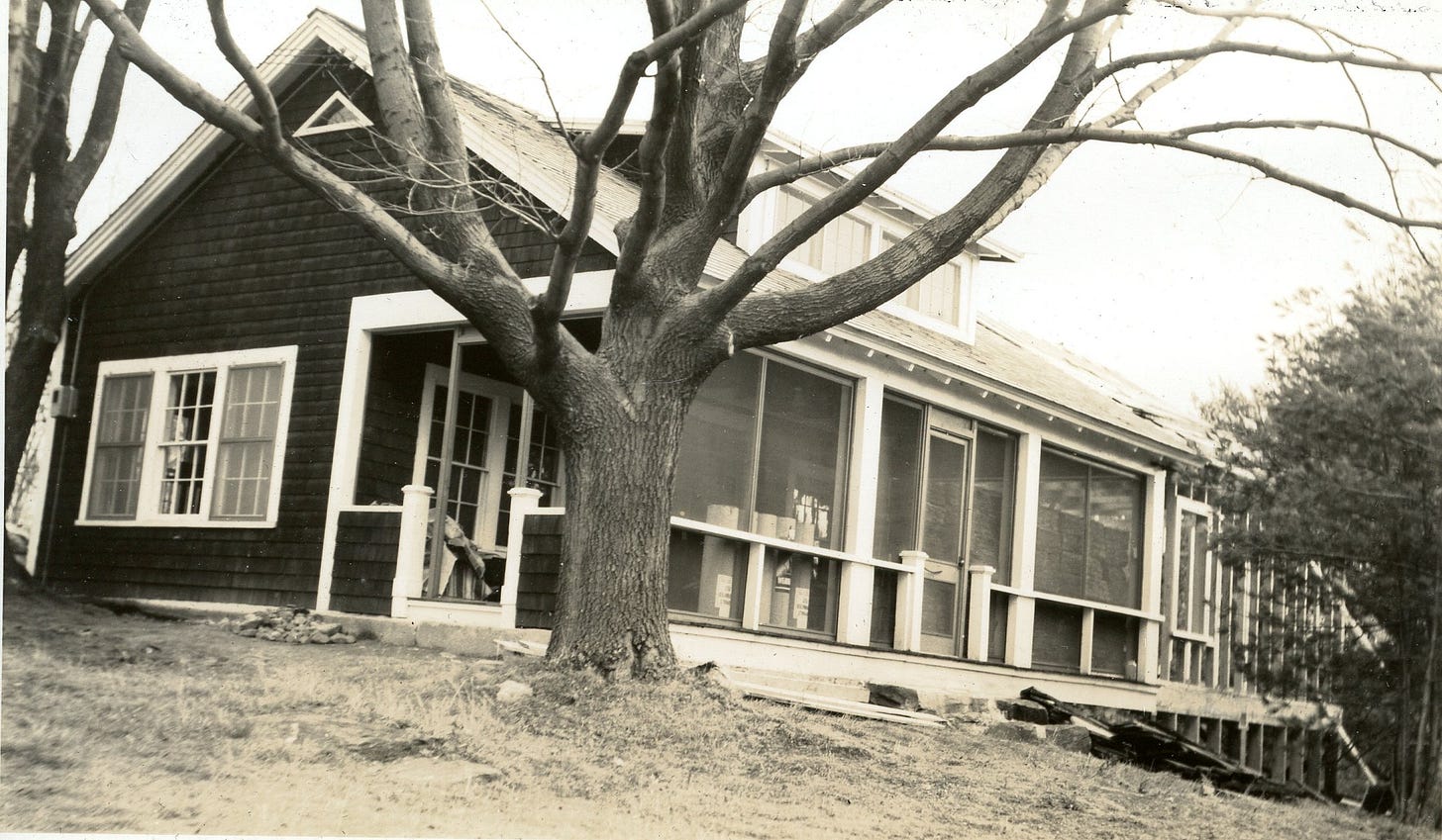 cabin with screened porch and new construction
